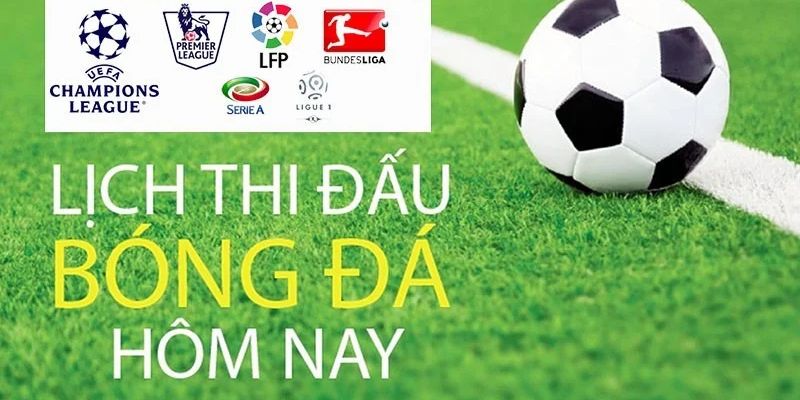 Tra cứu thông tin chuẩn xác tại Mitom tv