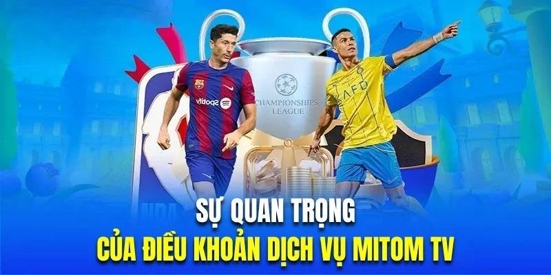 Điều quan trọng khi liên hệ Mitom