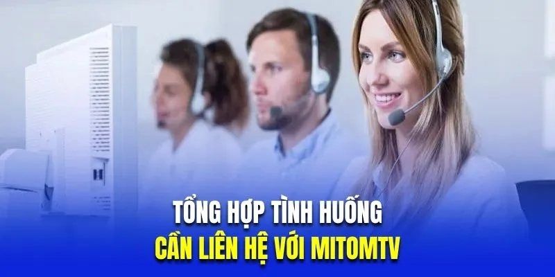 Lý do bạn cần liên hệ Mitom tv
