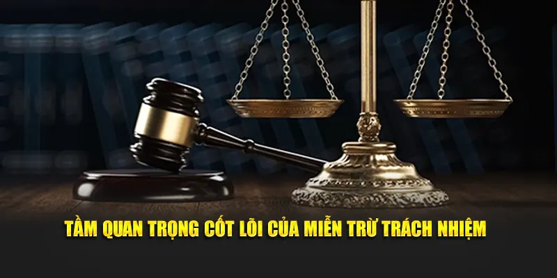Tầm quan trọng của miền trừ trách nhiệm